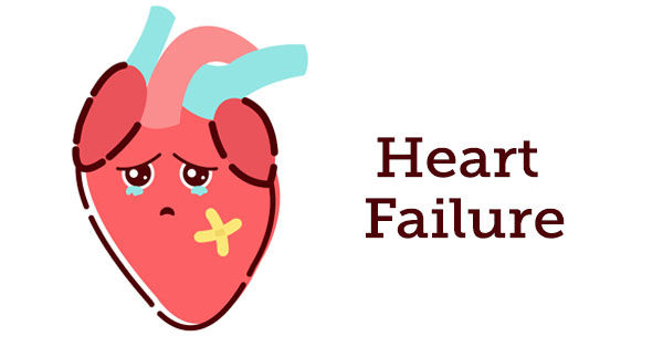 heart-failure-mitral-valve-atrial-fibrillation